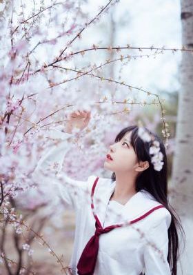 平凡英雄_免费国语